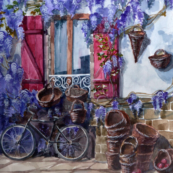 Bicycle near the house with wisteria