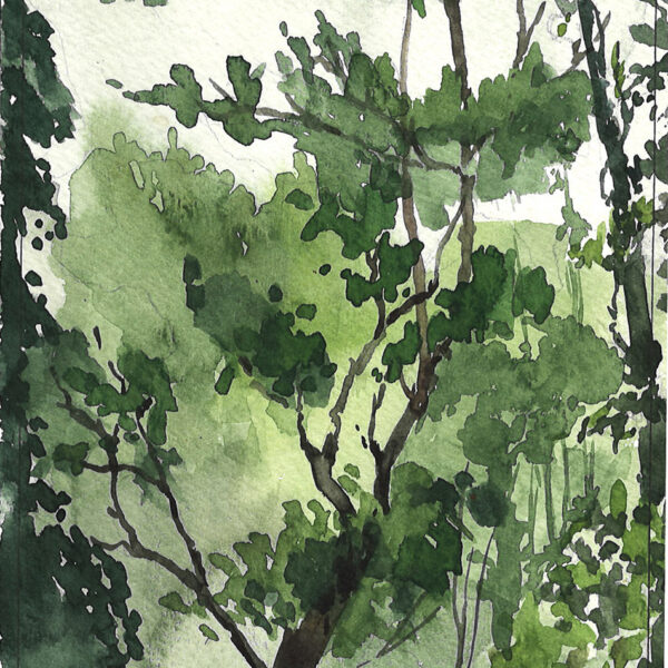 Grove